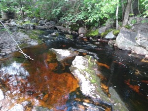 Red-tinged water where it has flowed over iron
