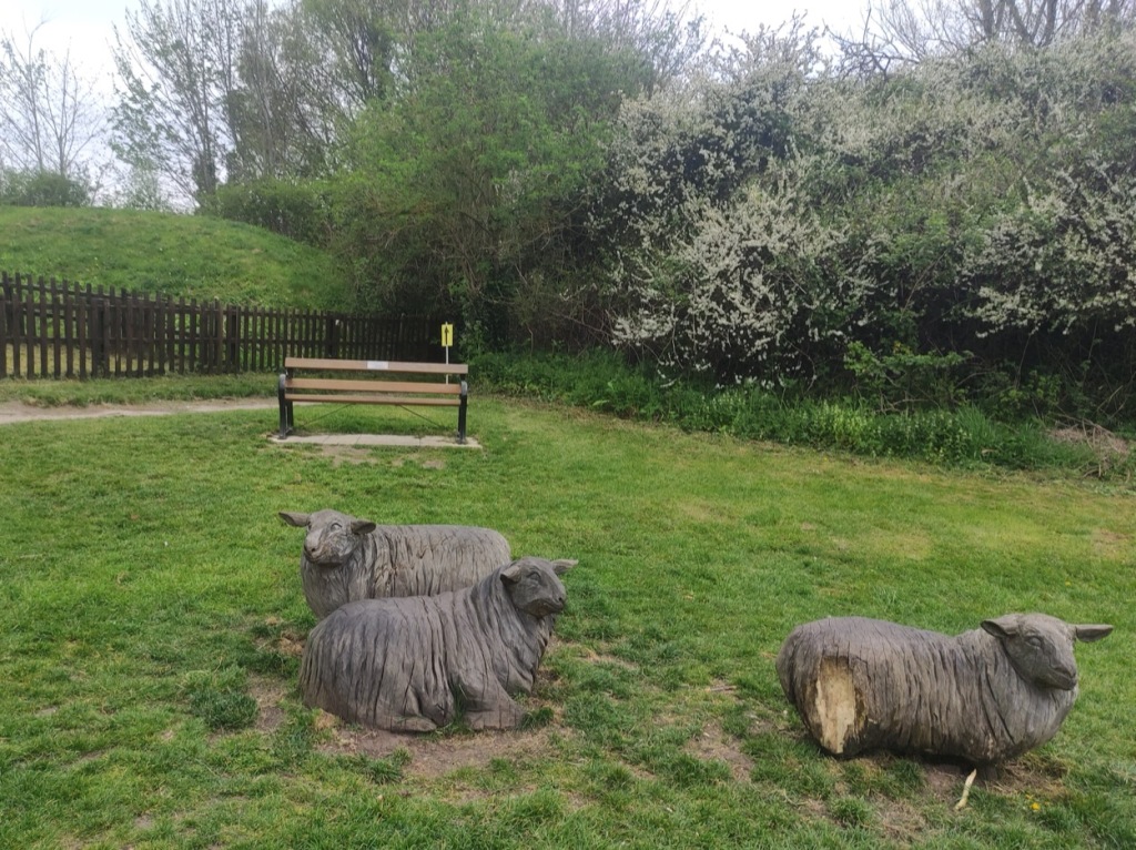 Wooden sculptures of three sheep, lying down, on the grass next to the path.