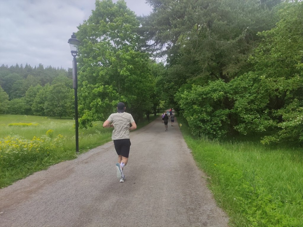 A runner in shorts and t-shirt on a wide path, with trees lining the route.