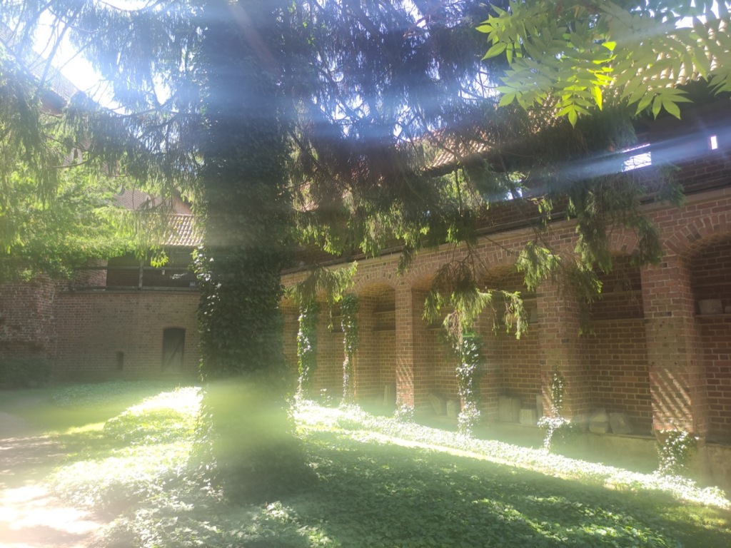 A courtyard is lit by dappled light shining through the branches of a tall tree. Ivy grows up some of the brick pillars.