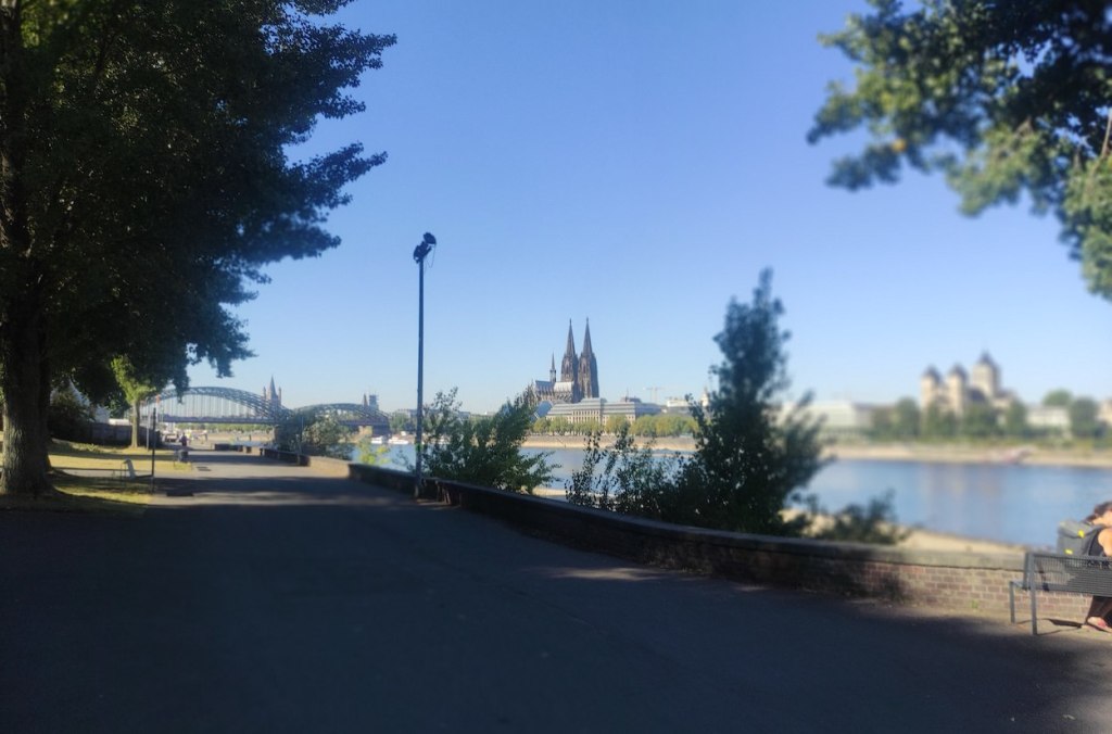Cologne Cathedral is far away but still dominates the skyline on the far side of the river. A wide path heads along the riverside, with a large tree providing shade. A humped bridge (the Hohenzollernbrücke) in the distance leads to the city centre.